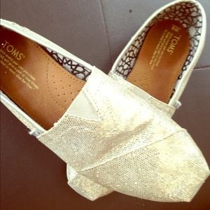 Silver Sparkly Toms