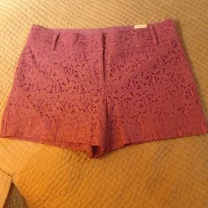 LOFT lace shorts