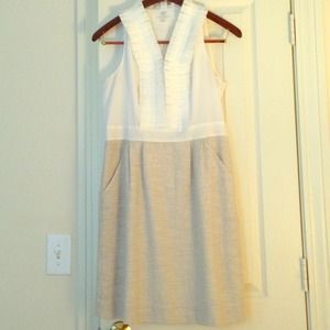 LOFT Dress with Preppy Neckline