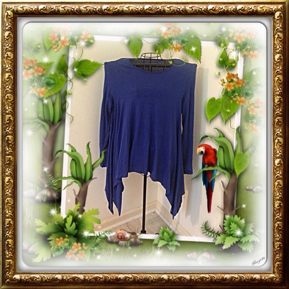 🌺Beautiful Royal blue long sleeve flowing top