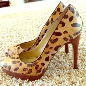 Steve Madden Rumble Leopard pumps