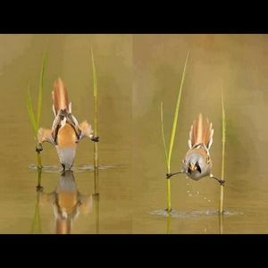 Summer sale!!  Cleaning out the closet ! ❤💕💕