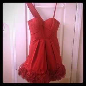 BCBG Red Poppy Dress Neverworn
