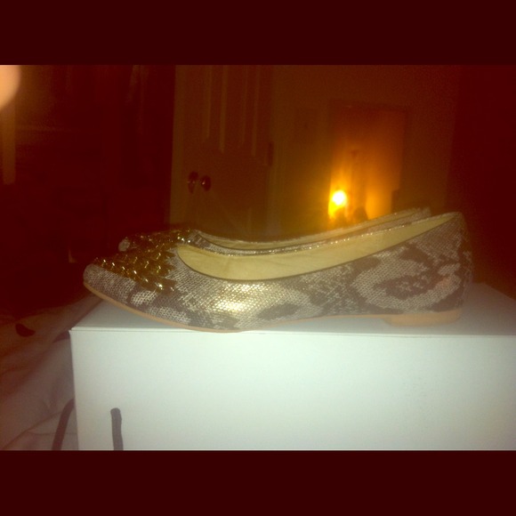 Aldo Pointed Toe Flats 👠
