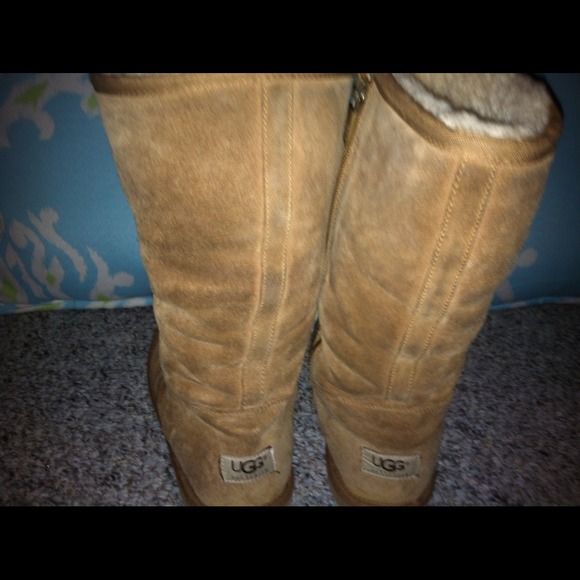 Uggs Tall