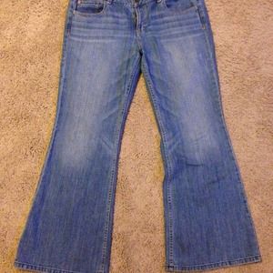 American Eagle Bootcut jeans