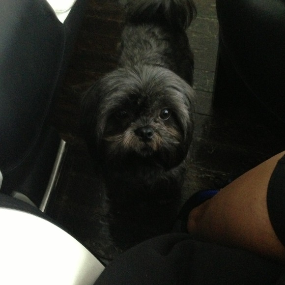 Not selling just showing you 1 of my 3 babies!