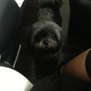 Not selling just showing you 1 of my 3 babies!