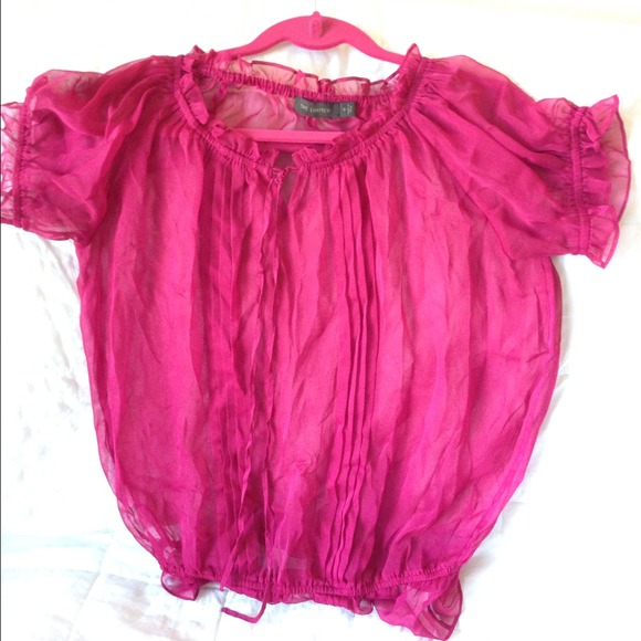 The Limited Sheer Top