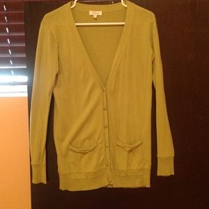 🎉HP8/15🎉Fossil Long Cardigan