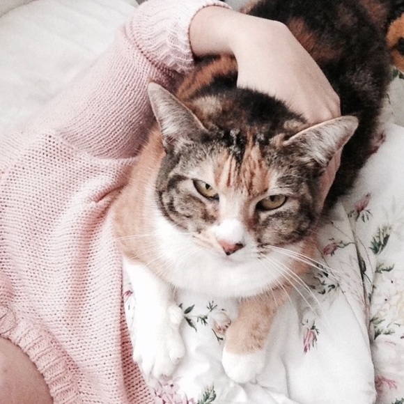 💖Meet the Closet Gal💖 - Picture 4 of 4