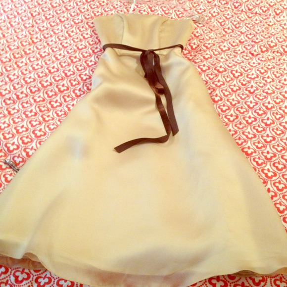 Watters & Watters Silk Organza dress