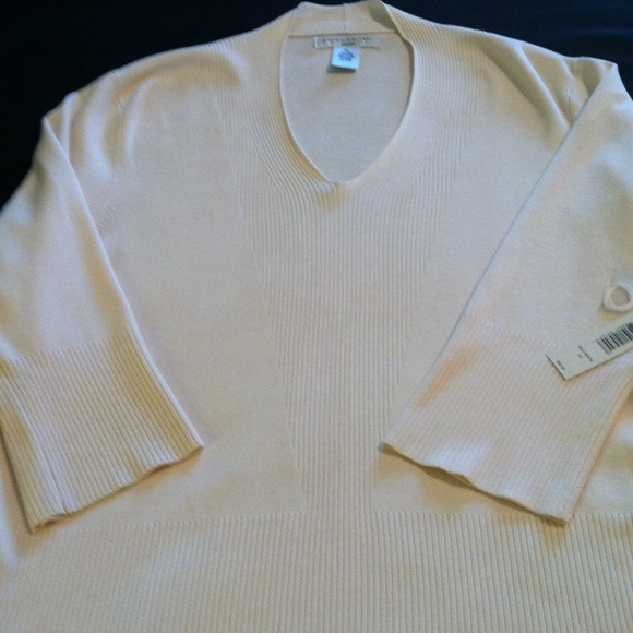 🌺🌺SOLD🌺🌺Ivory v-neck sweater🍁🍁🍁NWT