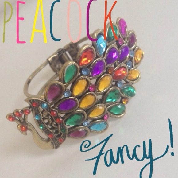 HOST PICK 🎉🎉🎀 Peacock bracelet