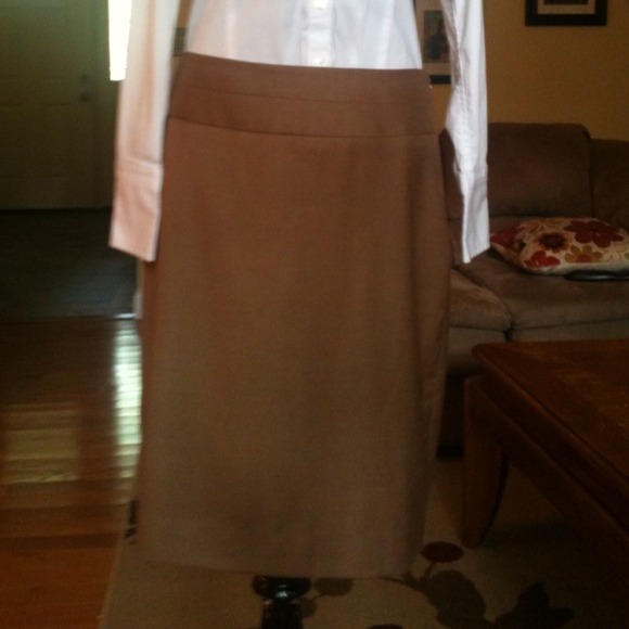 Camel dress skirt