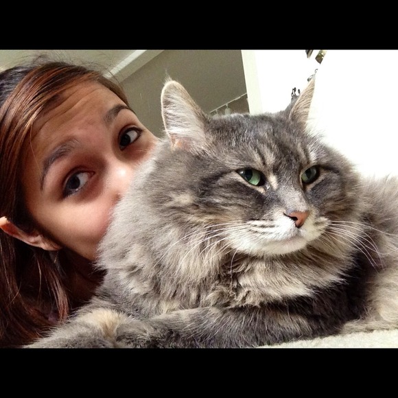 🌻 MEET YOUR POSHER 🌻 - Picture 4 of 4