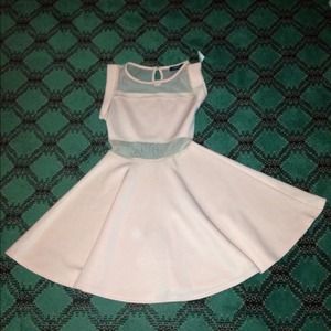 Charlotte Russe Pink Skater Dress