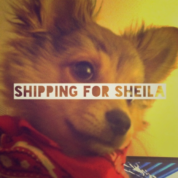 Shipping