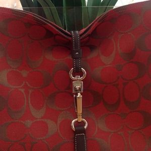 ***PRICE CUT*** RubyRed & Chocolate