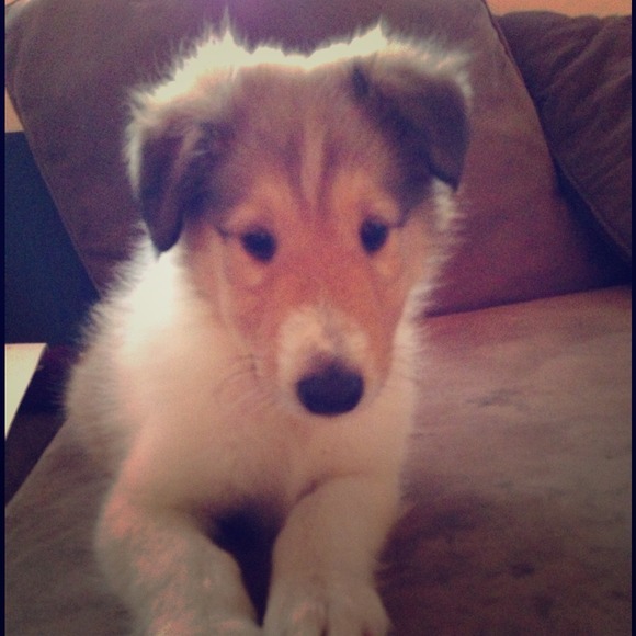 My Baby!!  Def not for sale <3