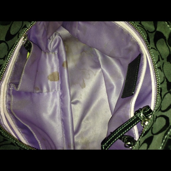 Authentic Coach - Picture 3 of 4