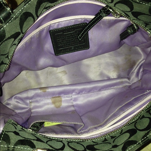 Authentic Coach - Picture 4 of 4