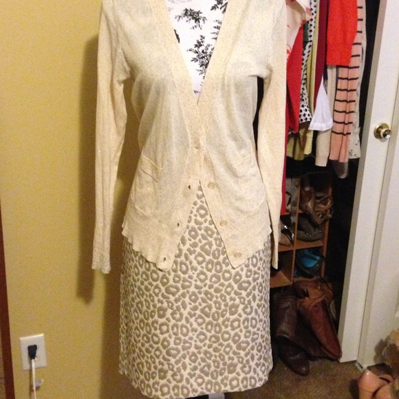 Banana Republic pencil skirt