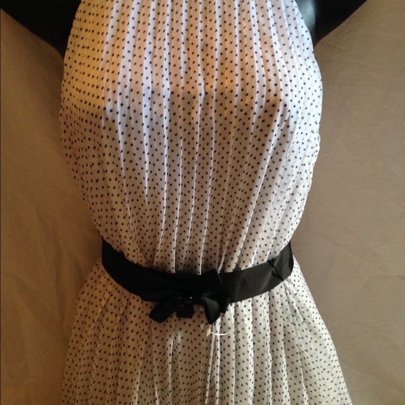 SOLD🌺CLASSY POLKA DOTS🌺 - Picture 2 of 4