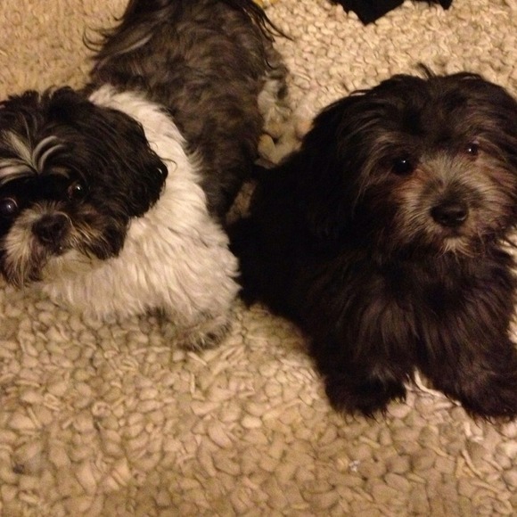 MEET YOUR SELLER. :) - Picture 2 of 5