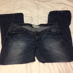 Maurice's Cassie Boot Jeans