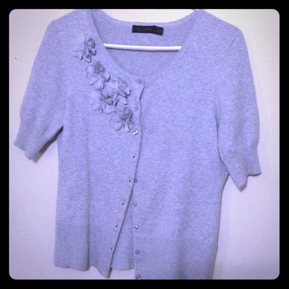 SOLD sleeve sweater from the Limited