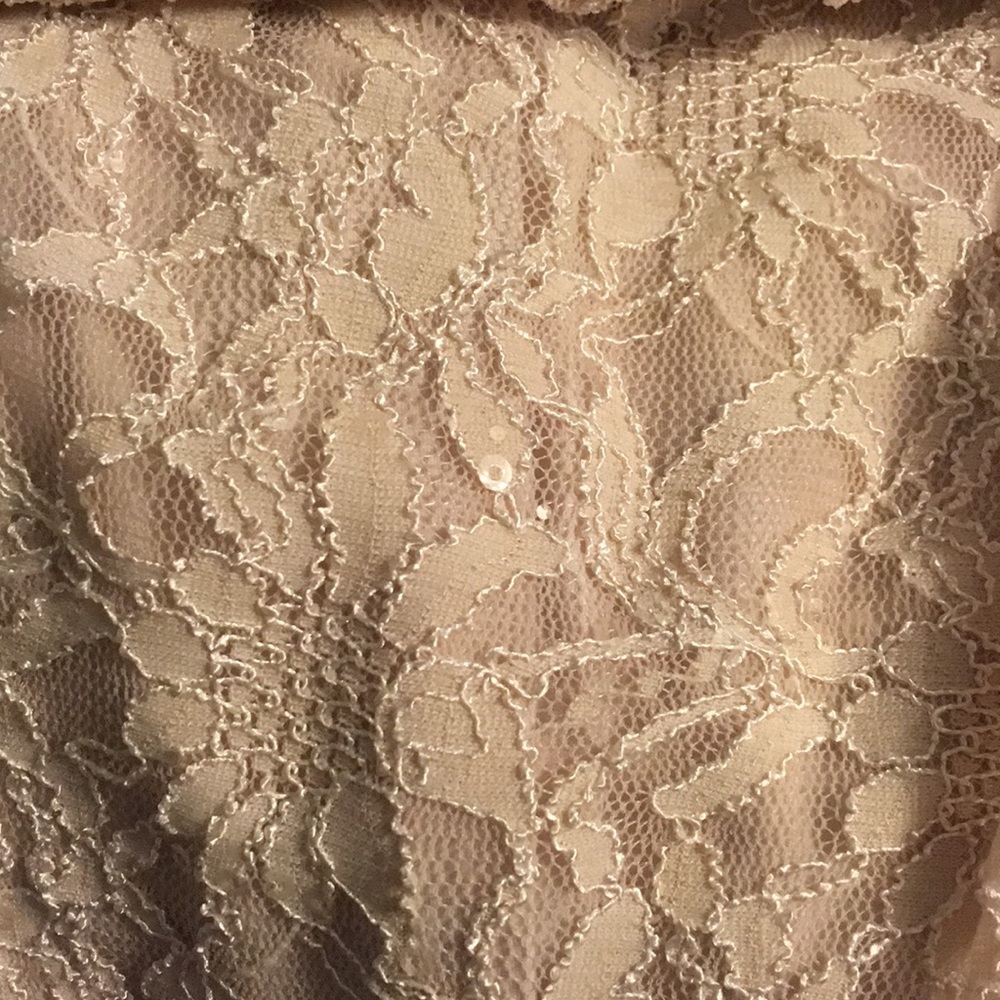 BEAUTIFUL blush / nude lace dress ๐น - Picture 7 of 8