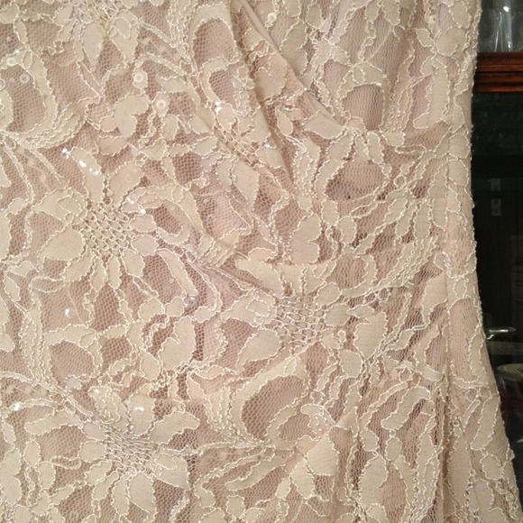 BEAUTIFUL blush / nude lace dress 🌹 - Picture 5 of 8