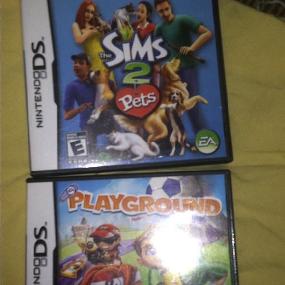 Nintendo DS Game