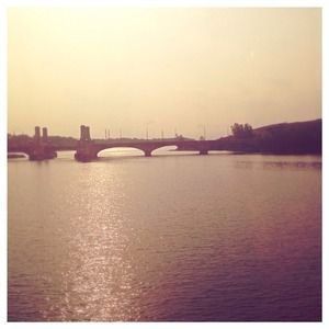 ♥💖ALL THINGS MUST GO💖❤