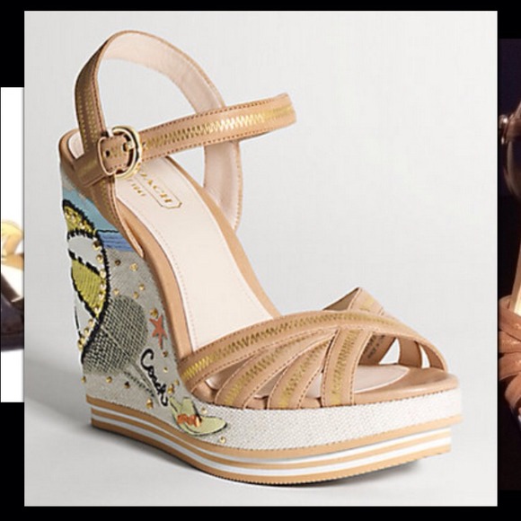 Looking for Coach Caroline Sandal