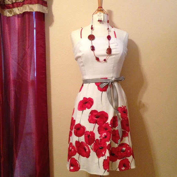 Aylnpaige Dresses & Skirts - Used once red/white dress size 5-6