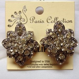 Rhinestone Flower Shaped Earrings!