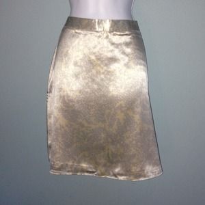 Stunning 100 present silk skirt.
