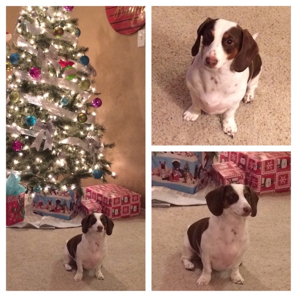 Meet your seller/buyer! - Picture 2 of 6