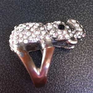 Elephant ring