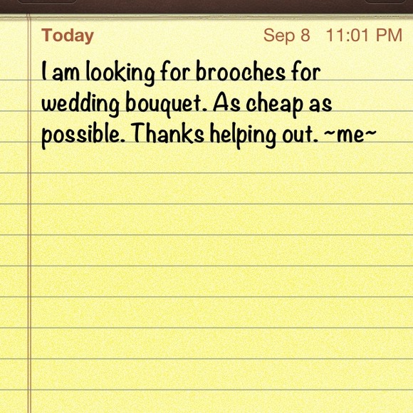 ~ searching for brooches~