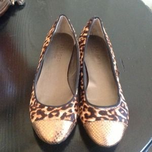 Cheetah Flats
