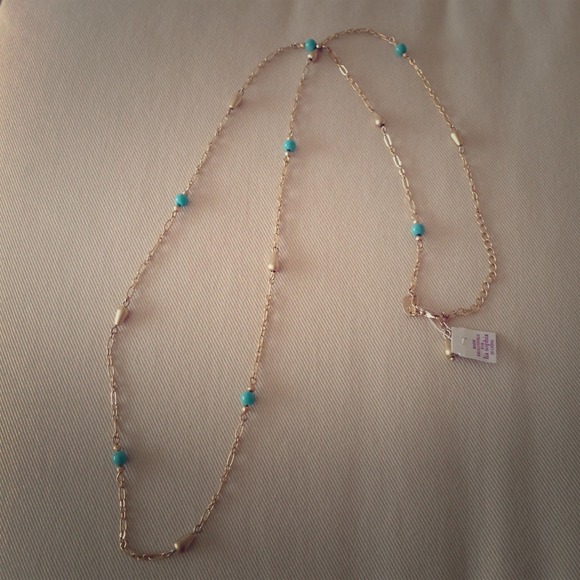 2 bundled Lia Sophia necklaces!