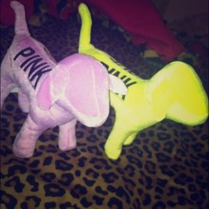 Victoria's Secret dogs