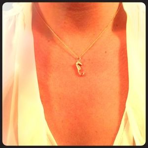 14K Gold Seahorse Charm Necklace