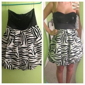 Zebra Dress