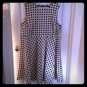 Polka dot rock a billy dress avenue sz 20