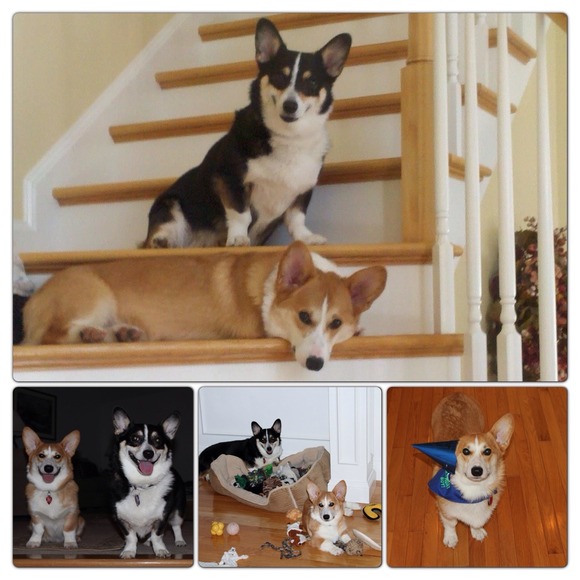 About Me - Picture 3 of 4