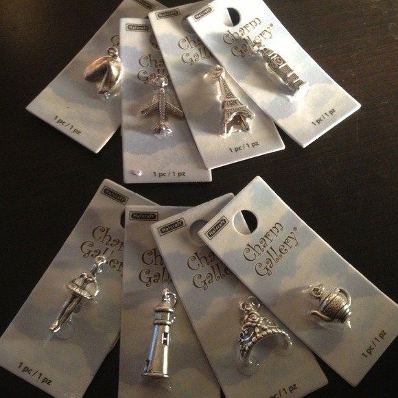 Charm bracelet charms